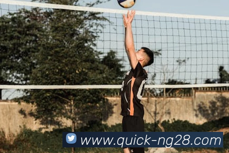 App Interface Preview